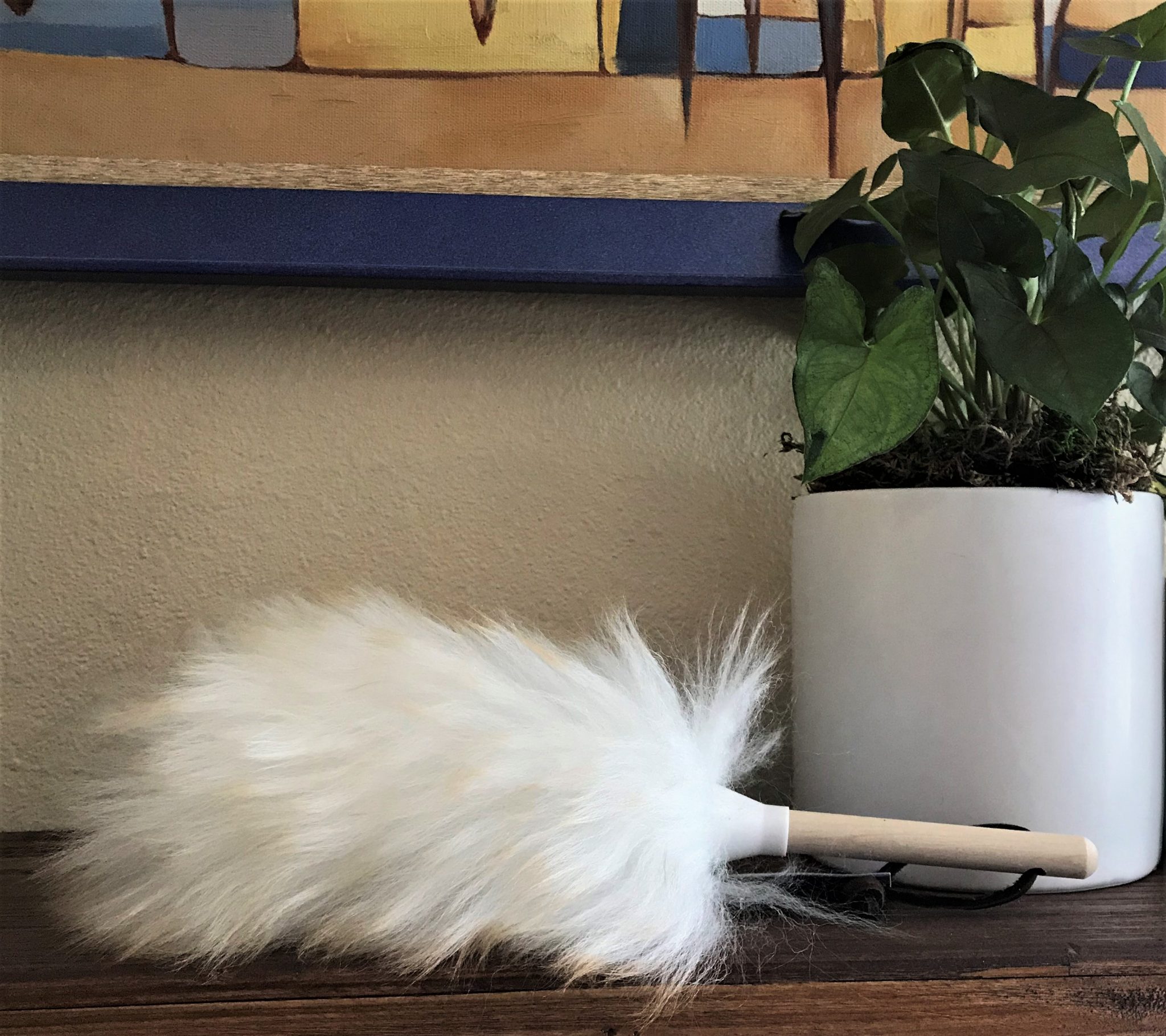 Houseplant Dusters Oh Happy Plants